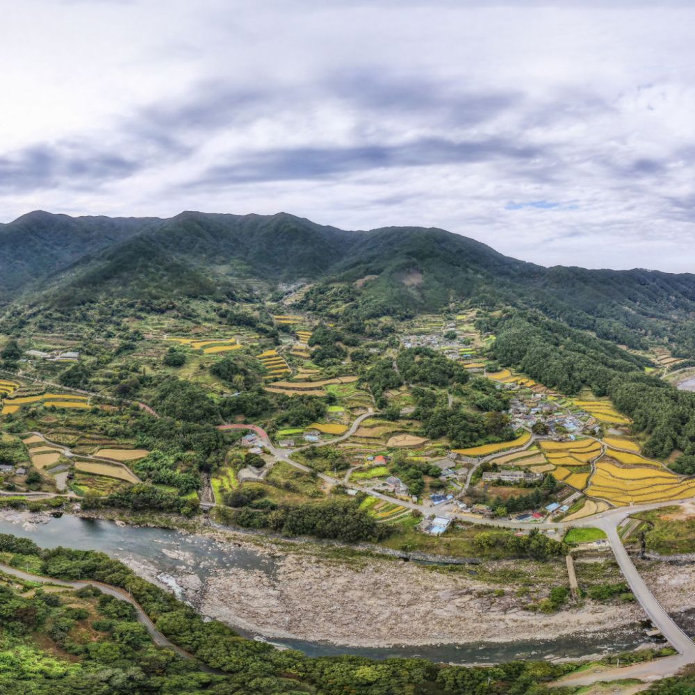 주간전경