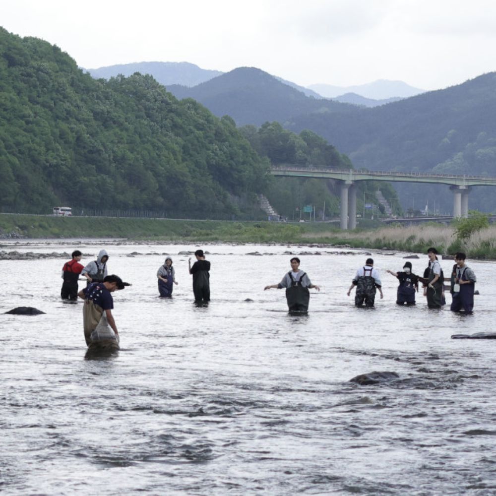 생태체험갤러리