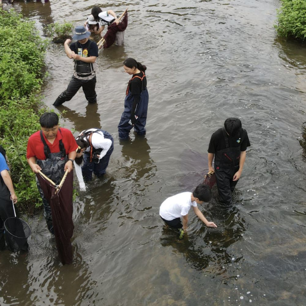 생태체험갤러리