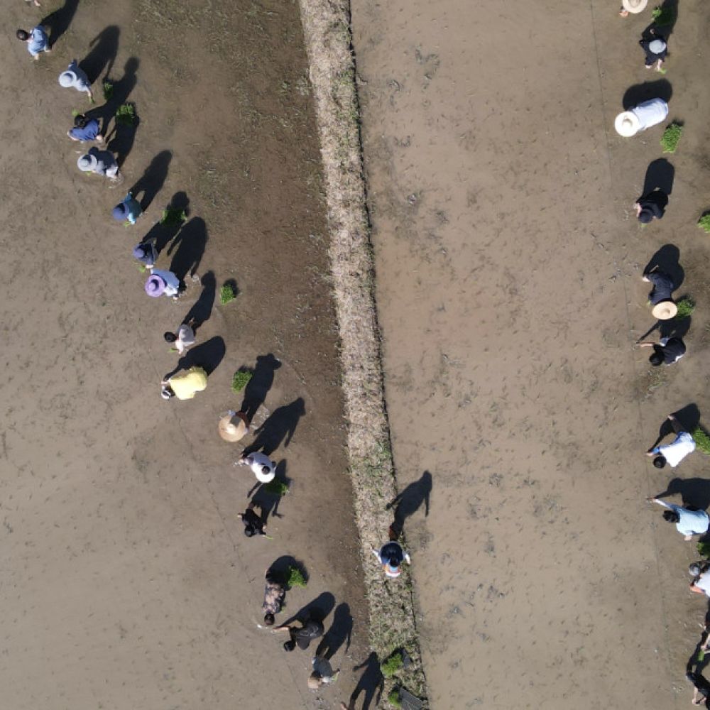 생태체험갤러리